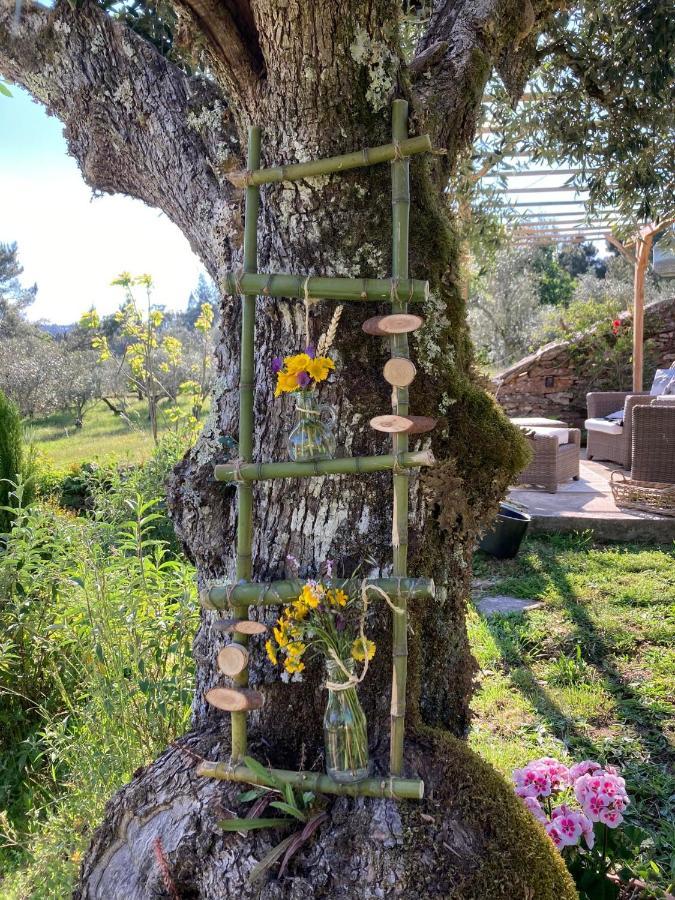 Porturama Bed & Breakfast Mouronho Exterior photo